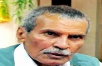 من يجرؤ على الكلام؟ هذا تدمير شامل وممنهج لعدن!