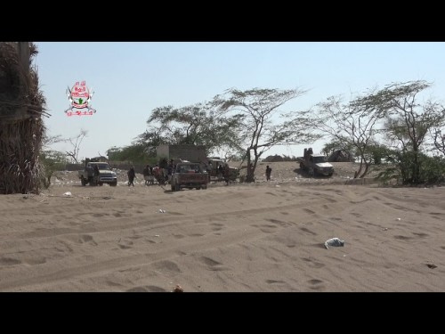 شاهد بـ(الفيديو) ..ألوية العمالقة تطهر عدداً من المزارع شرق الجبلية وشمال المغرس بالحديدة
