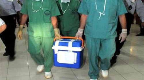  الكشف عن عصابات حوثية لسرقة أعضاء الجرحى ب#صنـعاء