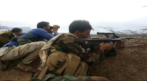 وحدة القناصة ب#المقاومة_الجنـوبية تستهدف أكثر من 25 #حوثي في يوم واحد