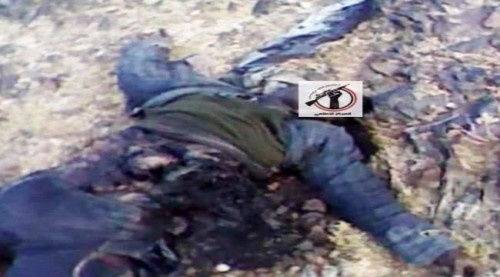 بعد انتصار المقاومة الشعبية.. قبائل آلـ حميقان تطالب المنظمات سحب جثث الحـوثيين المرمية في شعاب ووديان الزاهر ب#البيضاء