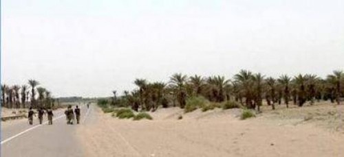 مليشيا #الحـوثي تدفع بتعزيزات كبيرة وتستحدث مواقع جديدة في التحيتا جنوب #الحديدة