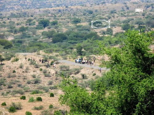 8 شهداء في معارك تحرير الفاخر ومواقع #الضـالع &laquo;الاسماء&raquo;