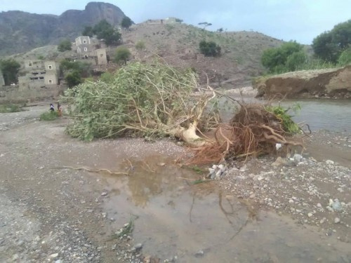 مزارعون في مسيمير لحج يستيغثون بالجهات المعنية والمنظمات الإغاثية بعد تضرر أراضيهم جراء السيول الكبيرة بوادي تبن