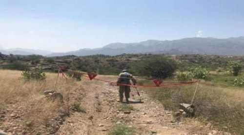 هدوء حذر يخيم على جبهات شمال وغرب #الضـالع