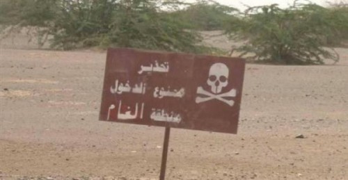 اصابة خمس نساء بلغم أرضي من مخلفات مليشيات #الحوثي بمنطقة القفلة بحجر #الضالع