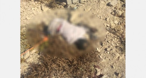 العثور على عبوتين ناسفتين في غيل باوزير ب#حضرموت