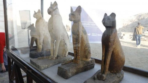 مصر تكشف عن "متحف كامل" يضم مومياوات أسود وتماسيح وطيور