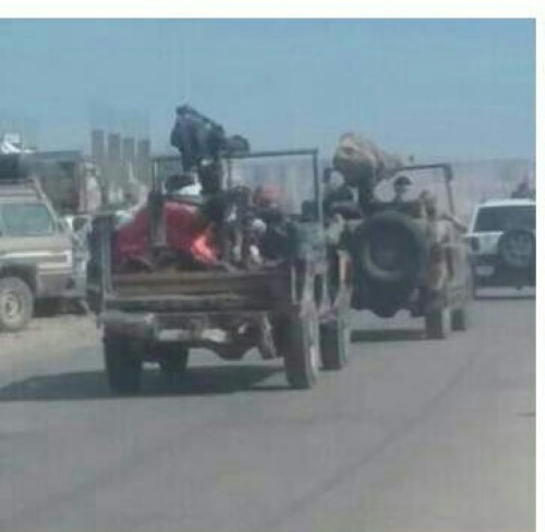 مليشيا حزب الاصلاح تعاود تمركزها بقرن الكلاسي بشقرة