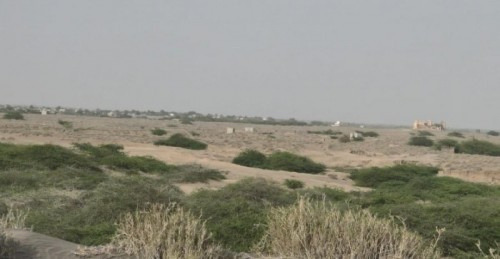الحديدة.. الكشف عن شبكة خنادق حوثية بين زبيد والتحيتا