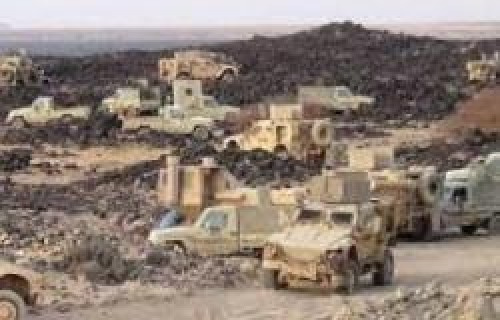 صحفي جنوبي: السلاح الذي خسرته قوات المقدشي مؤخراً كفيل بتحرير بيت المقدس وليس صنعاء فقط