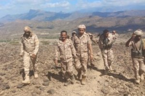 العميد النوبي يزور المرابطين في جبهة كرش بلحج