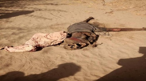 العثور على جثة مواطن مجهول بجعار أبين (صورة)