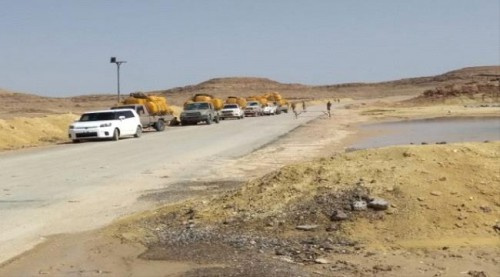 المهرة تمنع نهائيا دخول القات إليها