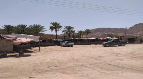 الأجهزة الأمنية بالقطن تنفذ حملة لغلق سوق القات بالمديرية