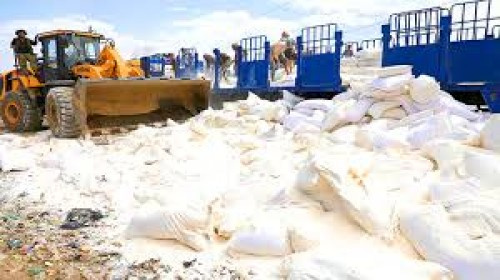 أغذية أتلفها الإرهاب الحوثي.. وجهٌ آخر لنهب المساعدات ومضاعفة الأعباء