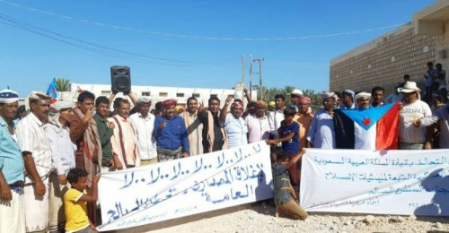 سقطرى.. احتجاجات غاضبة في مديرية قلنسية لرفض سياسات مليشيا #الإخوان