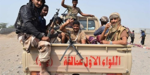 وصول تعزيزات عسكرية من اللواء الأول عمالقة لجبهة مكيراس