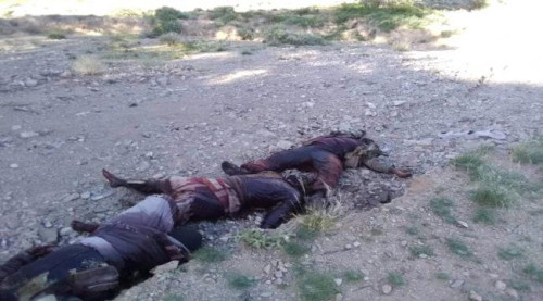 تعذيب وحشي.. 3 جثث في البيضاء واتهامات للحوثيين
