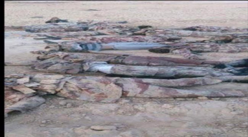 اكتظاظ مشافي لودر ومودية بجرحى وقتلى مليشيا الإخوان