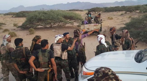 عناصر إرهابية مطلوبة دوليا في مقدمة صفوف مليشيا الإخوان بشقرة