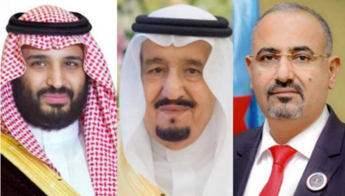 الرئيس الزُبيدي يهنئ خادم الحرمين الشريفين الملك سلمان وولي عهده باليوم الوطني السعودي الـ90