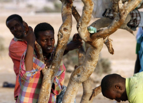 الحوثيون يتعمدون إغراق السعودية بالمهاجرين الأفارقة