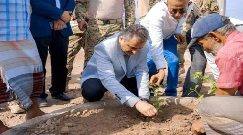 محافظ عدن يدشن مرحلة التشجير من كورنيش الدكة بالمعلا