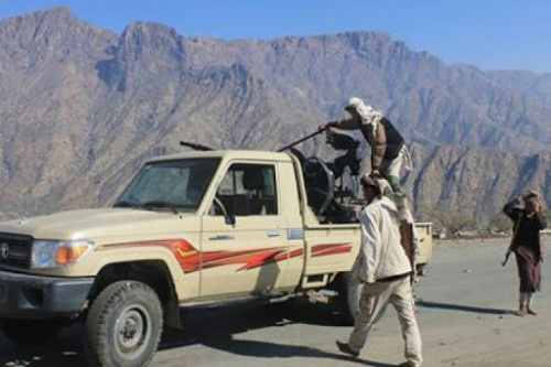 رصد تعزيزات حوثية كبيرة تتجه إلى جبهة ثره والبيضاء