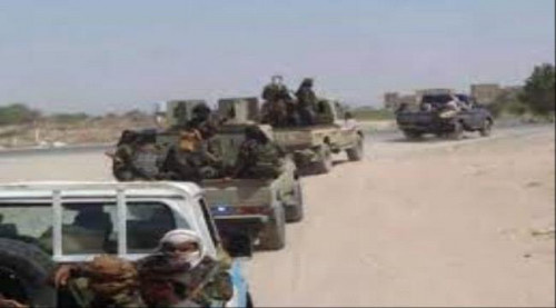 تدفق تعزيزات للعناصر الإرهابية تجاه شقرة بغطاء إخواني