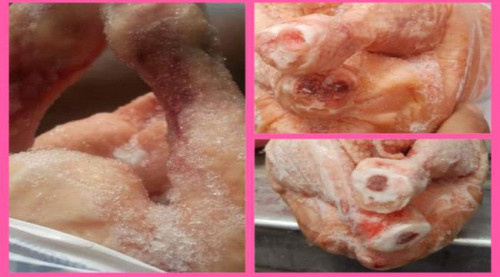 عدن.. ضبط شحنة دجاج فاسدة في نقطة العلم