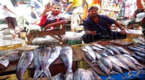 تحذير هام لبائعي الأسماك بالعاصمة عدن