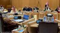 وزير الخارجية المصري: أمن الخليج جزء لا يتجزأ من أمن مصر