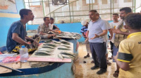 مدير عام مديرية المعلا يطلع على أوضاع سوق ناصر