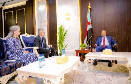 الرئيس الزبيدي يثمن دور مملكة السويد في دعم جهود إحلال السلام في بلادنا