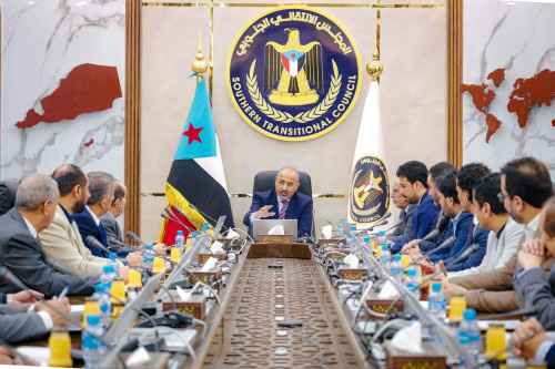 رئاسة الانتقالي تناشد المنظمات الدولية سرعة التدخل لوقف تداعيات الكارثة البيئية الناتجة عن غرق السفينة "روبيمار"