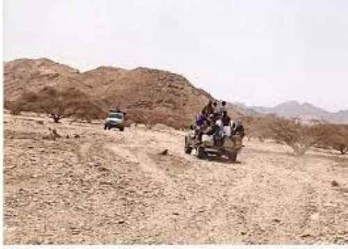 الأجهزة الأمنية تلقي القبض على عناصر خلية زارة الإرهابية في أبين