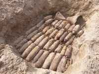 &ldquo;مسام&rdquo; يتلف 272 قذيفة وذخيرة غير منفجرة في أبين.