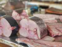 أسعار الأسماك اليوم الثلاثاء  فى أسواق العاصمة عدن