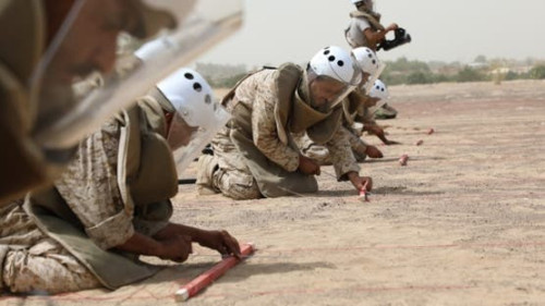 مركز مسام يعلن نزع 1139 لغماً خلال أسبوع