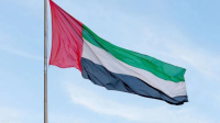 الإمارات تنقذ طاقم سفينة تعرضت للاستهداف في البحر الأحمر