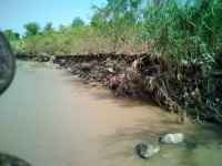 رئيس جمعية مستخدمي مياه الري بالمسيمير يناشد المنظمات والجهات المعنية التدخل لحماية الأراضي الزراعية من خطر السيول