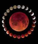 مواعيد مراحل الخسوف الكلي مساء يومنا هذا الأحد  7 سبتمبر..