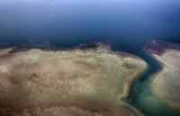 الكشف عن سر في البحر الأحمر