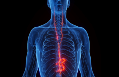 اكتشاف جديد يساعد القلب على مقاومة الشيخوخة