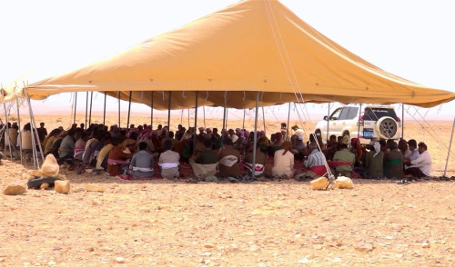 قبائل ثعين بحضرموت تؤكد دعمها للقيادة الجنوبية وتأييد إعلان الدولة