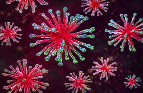 انتشار فيروس بلا لقاح أو علاج في ولاية أمريكية يثير مخاوف صحية