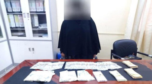 عدن.. شرطة كريتر تضبط عاملة منزلية متورطة بسرقة مبالغ مالية كبيرة